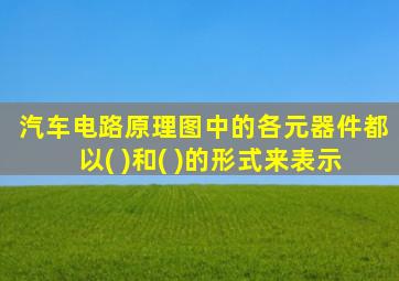 汽车电路原理图中的各元器件都以( )和( )的形式来表示